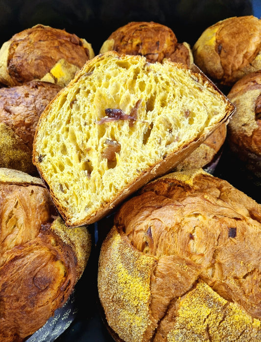 1- PANETTONE ARTIGIANALE AL RADICCHIO ROSSO DI TREVISO IGP I Pasticceria Opera